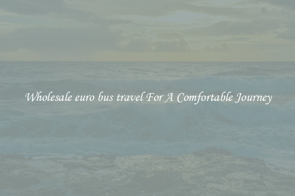 Wholesale euro bus travel For A Comfortable Journey