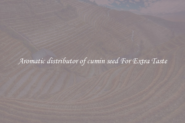 Aromatic distributor of cumin seed For Extra Taste