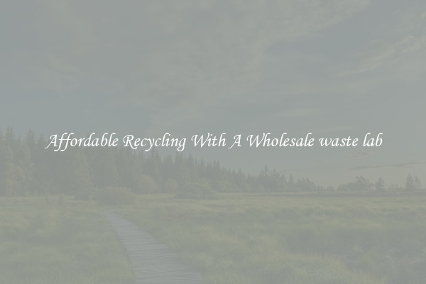 Affordable Recycling With A Wholesale waste lab