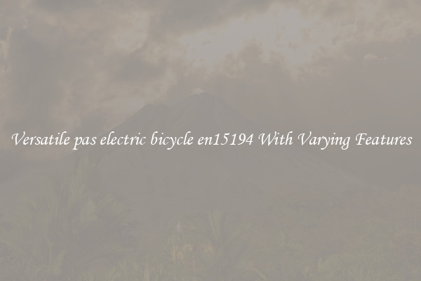 Versatile pas electric bicycle en15194 With Varying Features