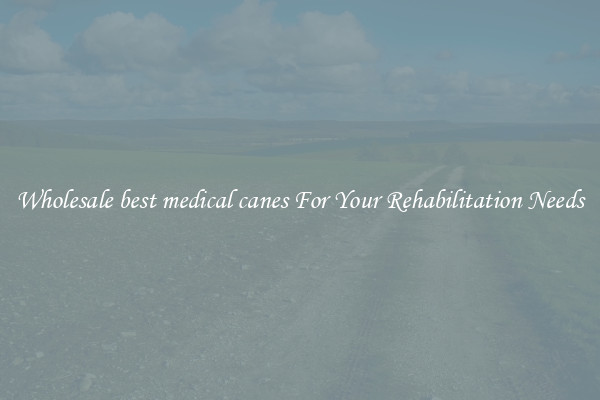 Wholesale best medical canes For Your Rehabilitation Needs