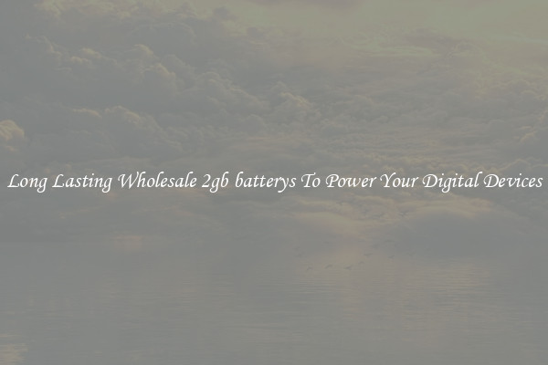 Long Lasting Wholesale 2gb batterys To Power Your Digital Devices