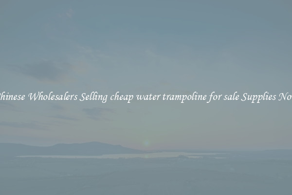 Chinese Wholesalers Selling cheap water trampoline for sale Supplies Now