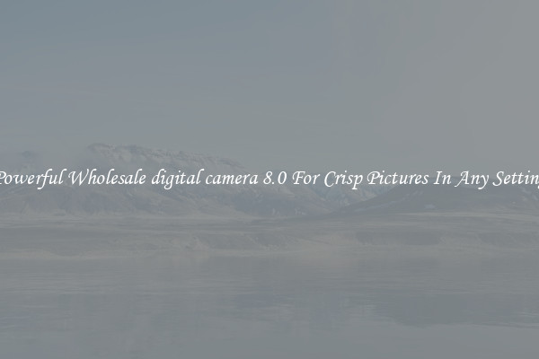 Powerful Wholesale digital camera 8.0 For Crisp Pictures In Any Setting