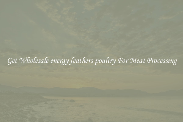 Get Wholesale energy feathers poultry For Meat Processing