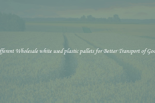 Different Wholesale white used plastic pallets for Better Transport of Goods 