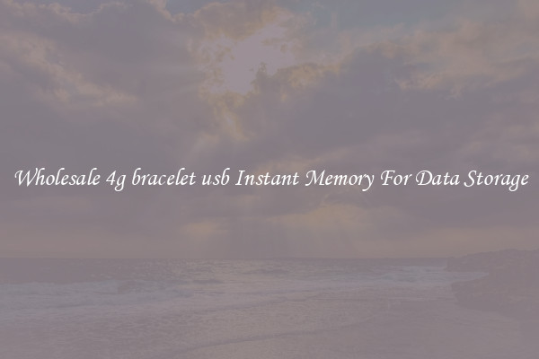 Wholesale 4g bracelet usb Instant Memory For Data Storage