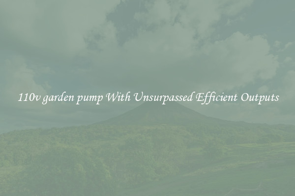 110v garden pump With Unsurpassed Efficient Outputs