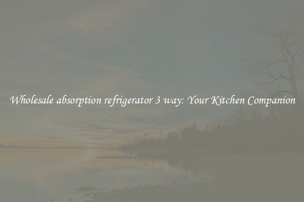 Wholesale absorption refrigerator 3 way: Your Kitchen Companion