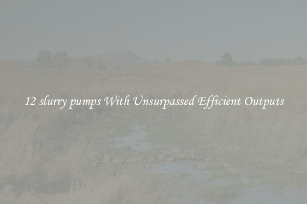 12 slurry pumps With Unsurpassed Efficient Outputs