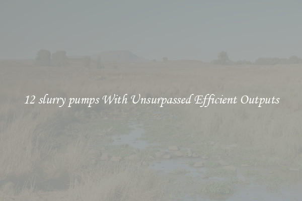 12 slurry pumps With Unsurpassed Efficient Outputs