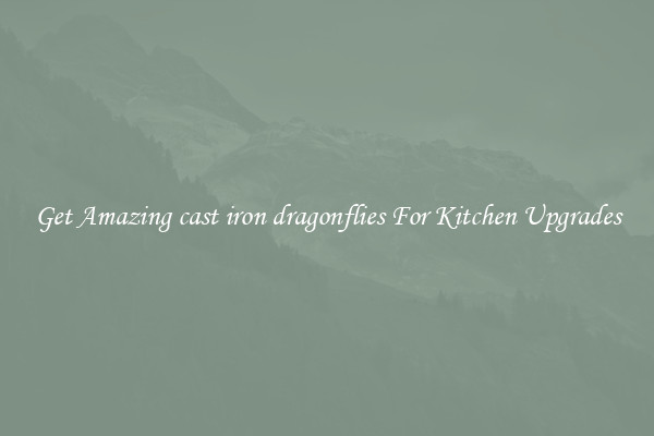 Get Amazing cast iron dragonflies For Kitchen Upgrades