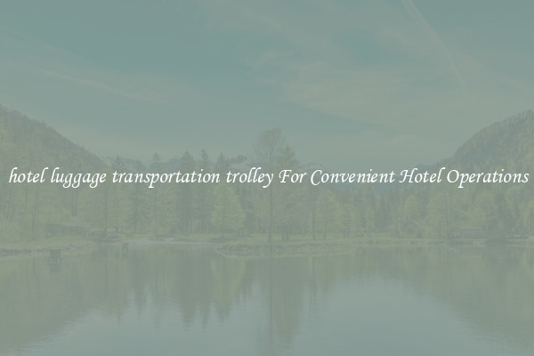 hotel luggage transportation trolley For Convenient Hotel Operations