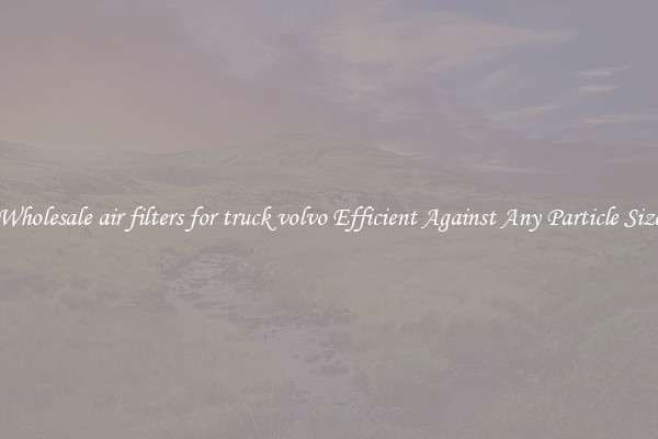 Wholesale air filters for truck volvo Efficient Against Any Particle Size