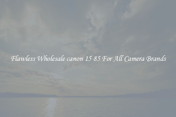 Flawless Wholesale canon 15 85 For All Camera Brands