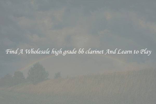 Find A Wholesale high grade bb clarinet And Learn to Play