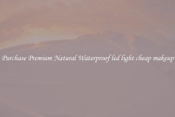 Purchase Premium Natural Waterproof led light cheap makeup