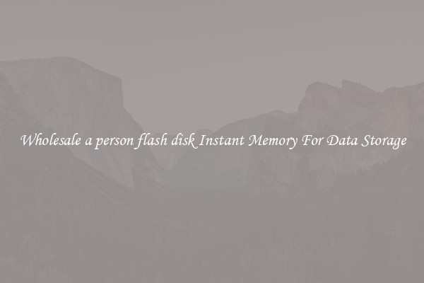 Wholesale a person flash disk Instant Memory For Data Storage