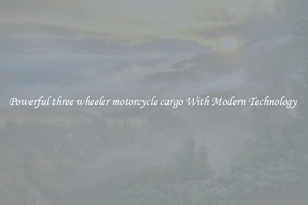 Powerful three wheeler motorcycle cargo With Modern Technology 