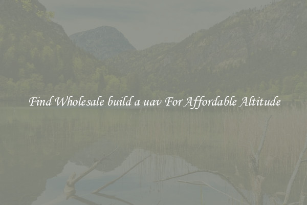 Find Wholesale build a uav For Affordable Altitude