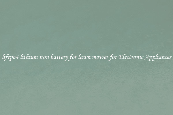 lifepo4 lithium iron battery for lawn mower for Electronic Appliances