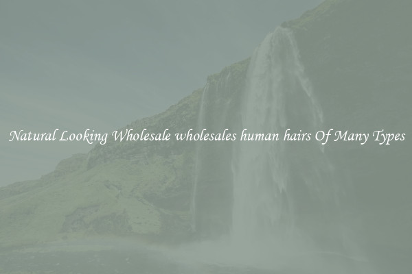 Natural Looking Wholesale wholesales human hairs Of Many Types
