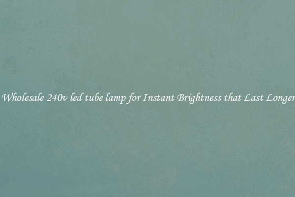 Wholesale 240v led tube lamp for Instant Brightness that Last Longer