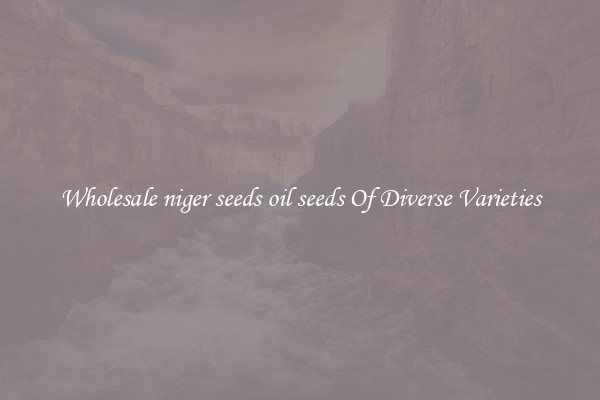 Wholesale niger seeds oil seeds Of Diverse Varieties