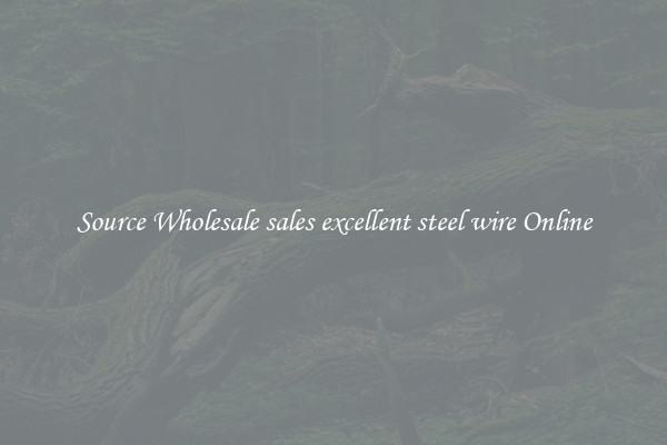 Source Wholesale sales excellent steel wire Online