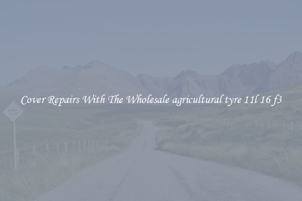  Cover Repairs With The Wholesale agricultural tyre 11l 16 f3 