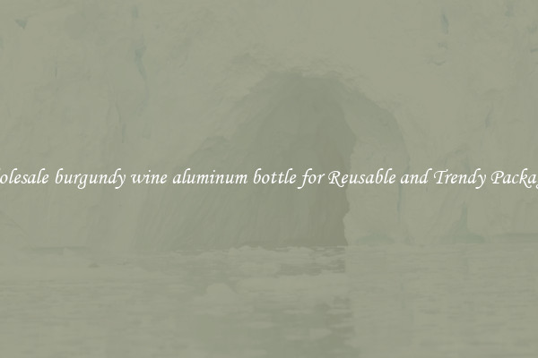 Wholesale burgundy wine aluminum bottle for Reusable and Trendy Packaging