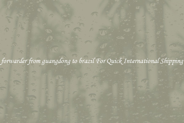 forwarder from guangdong to brazil For Quick International Shipping