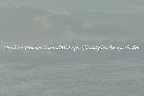 Purchase Premium Natural Waterproof beauty brushes eye shadow