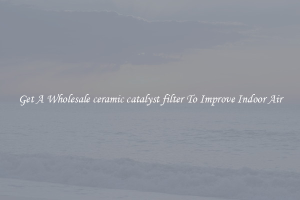 Get A Wholesale ceramic catalyst filter To Improve Indoor Air